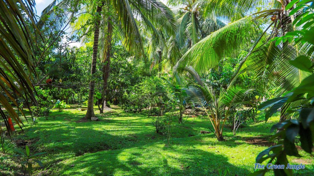 The Green Jungle Dambulla Exterior photo