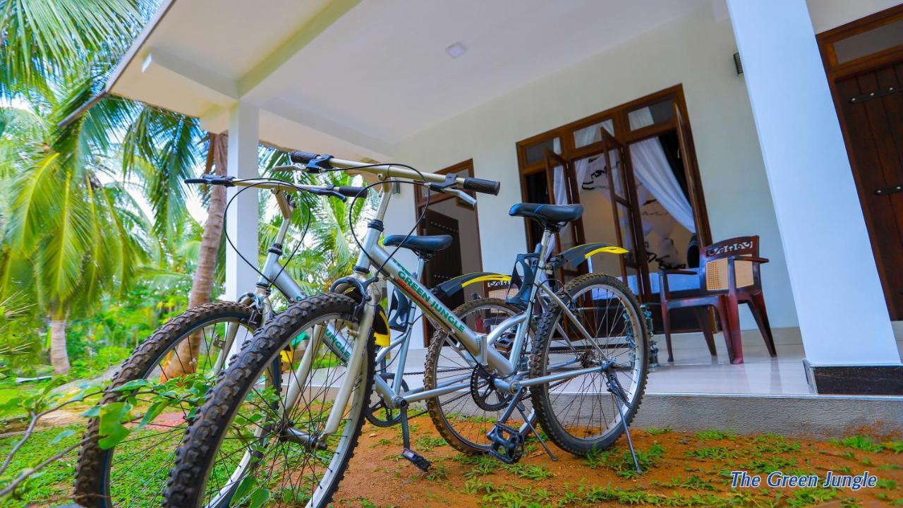 The Green Jungle Dambulla Exterior photo